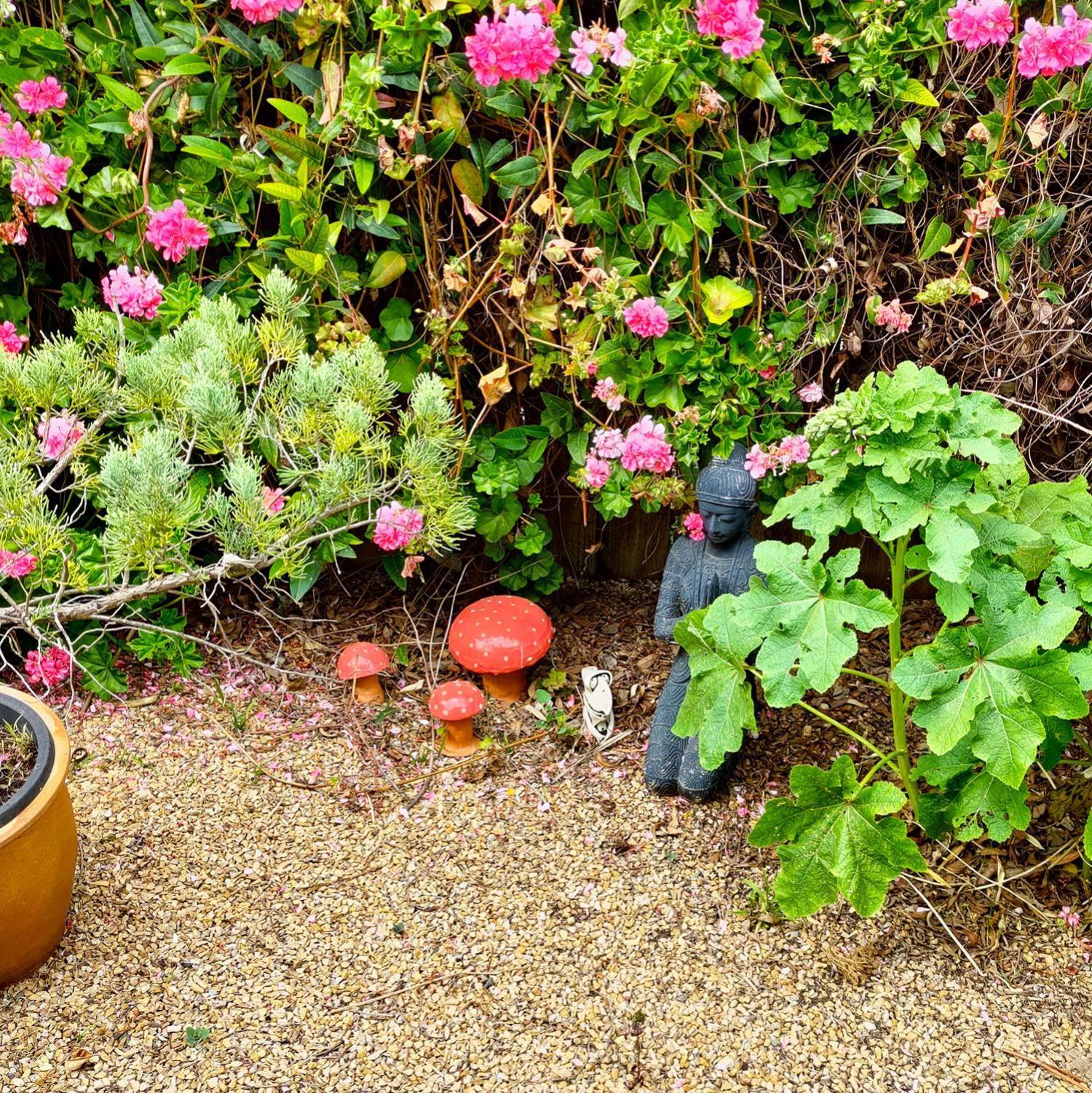 Gumnut Getaway Bnb Goolwa North Kültér fotó
